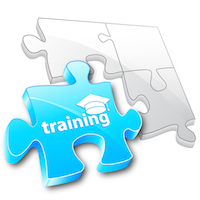 Training Internship